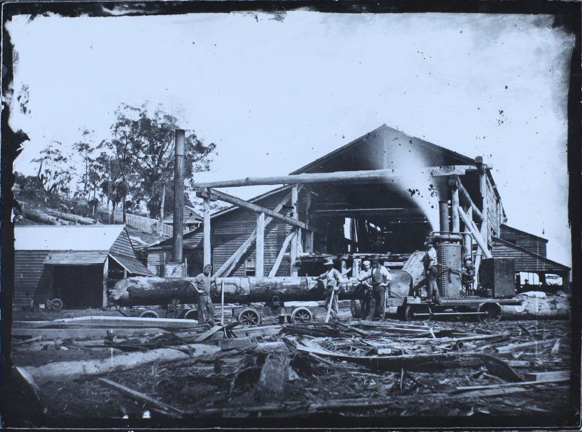 Timber Mill, Richmond or Brunswick River districts