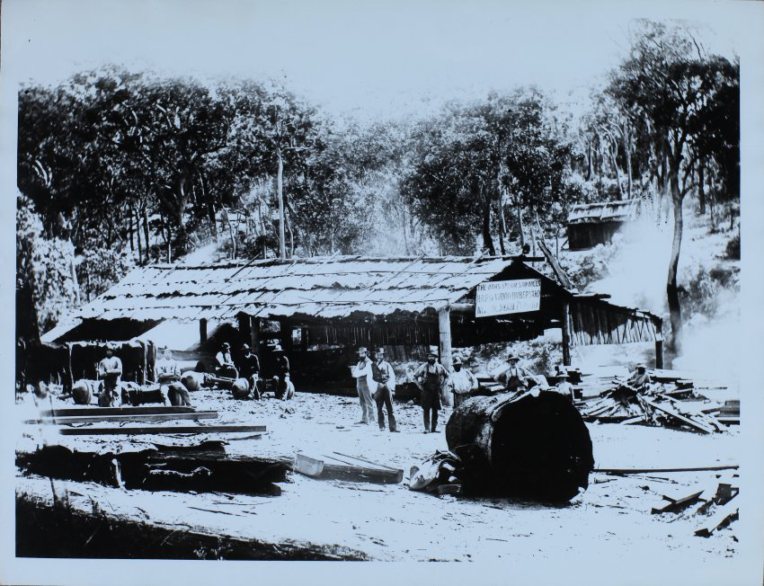The Oaks Steam Sawmills and Timber Yard
