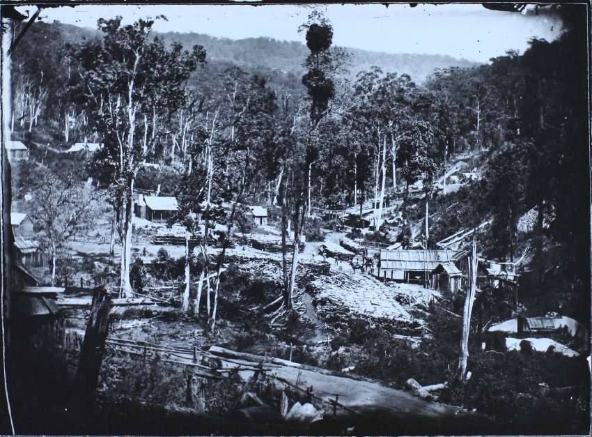 Timber camp or gold mining settlement, upper Clarence
