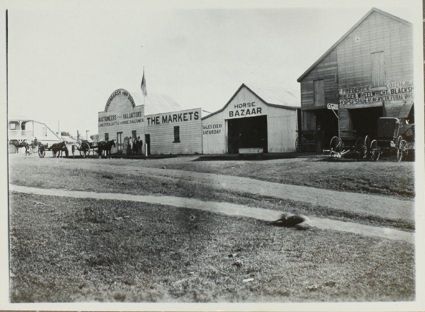 Markets and horse bazaar