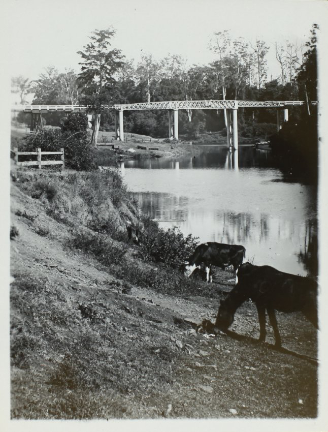 Fawcett&rsquo;s bridge, Lismore