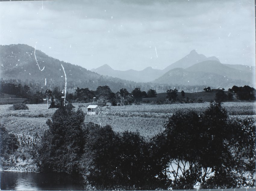 Farm Tweed Valley Mt. Warning