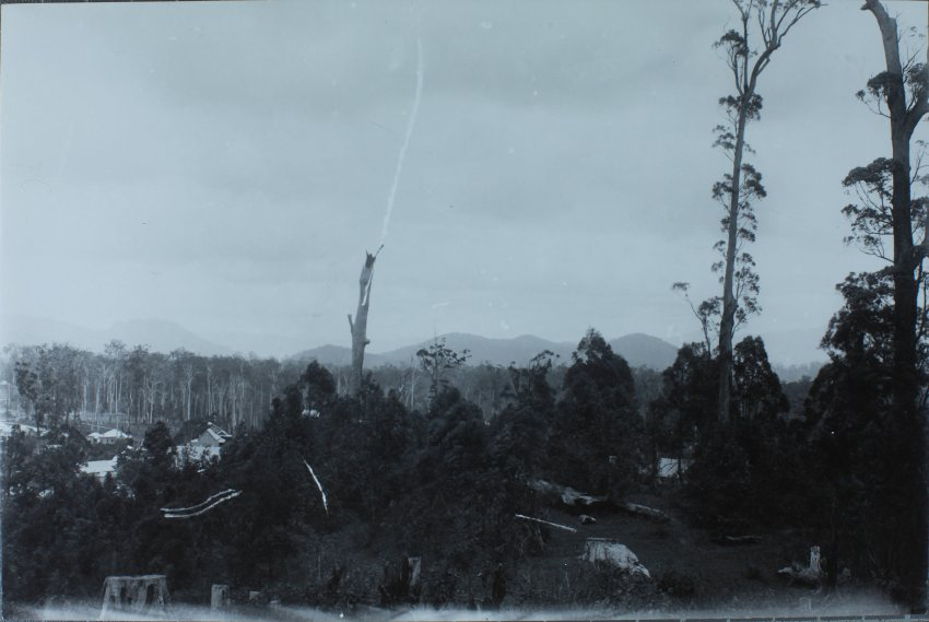 Muwillumbah, late 19th century view