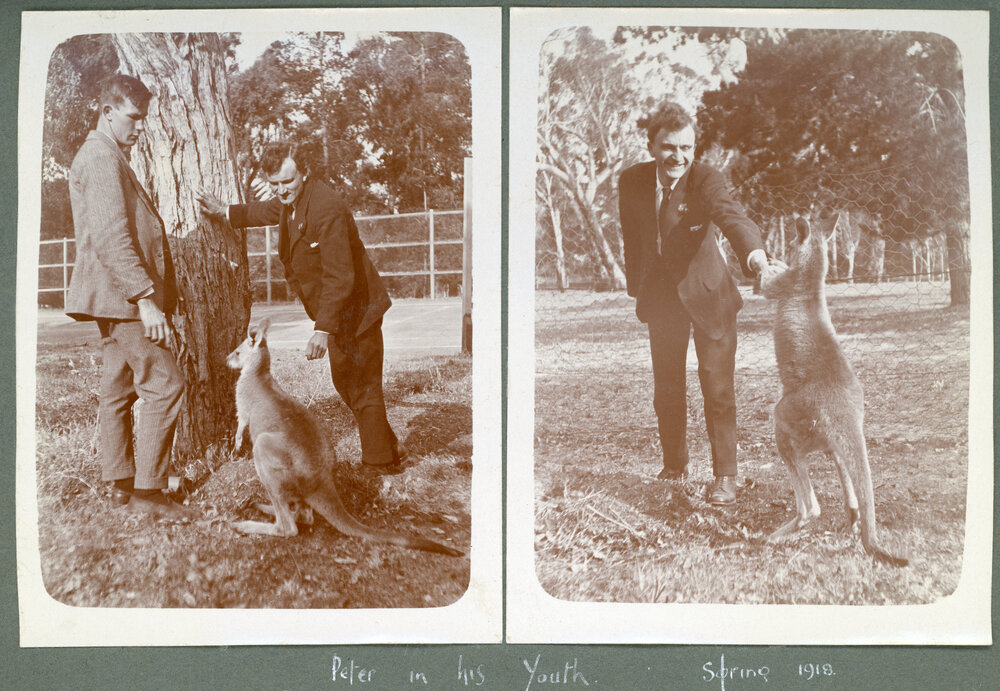 'Peter in his youth', 1918