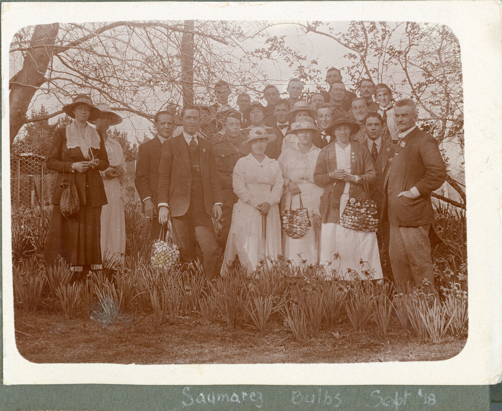 "Saumarez Bulbs", September 1918
