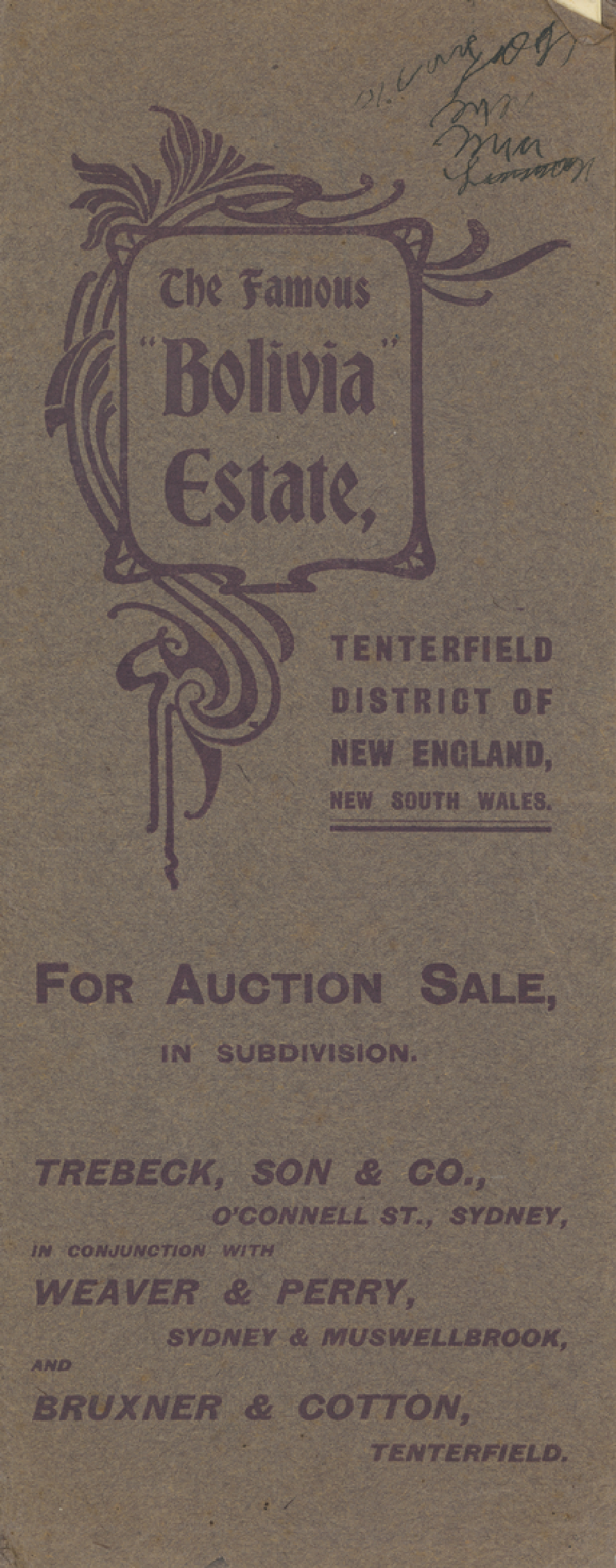 The Famous Bolivia Estate Auction Sale brochure 1913