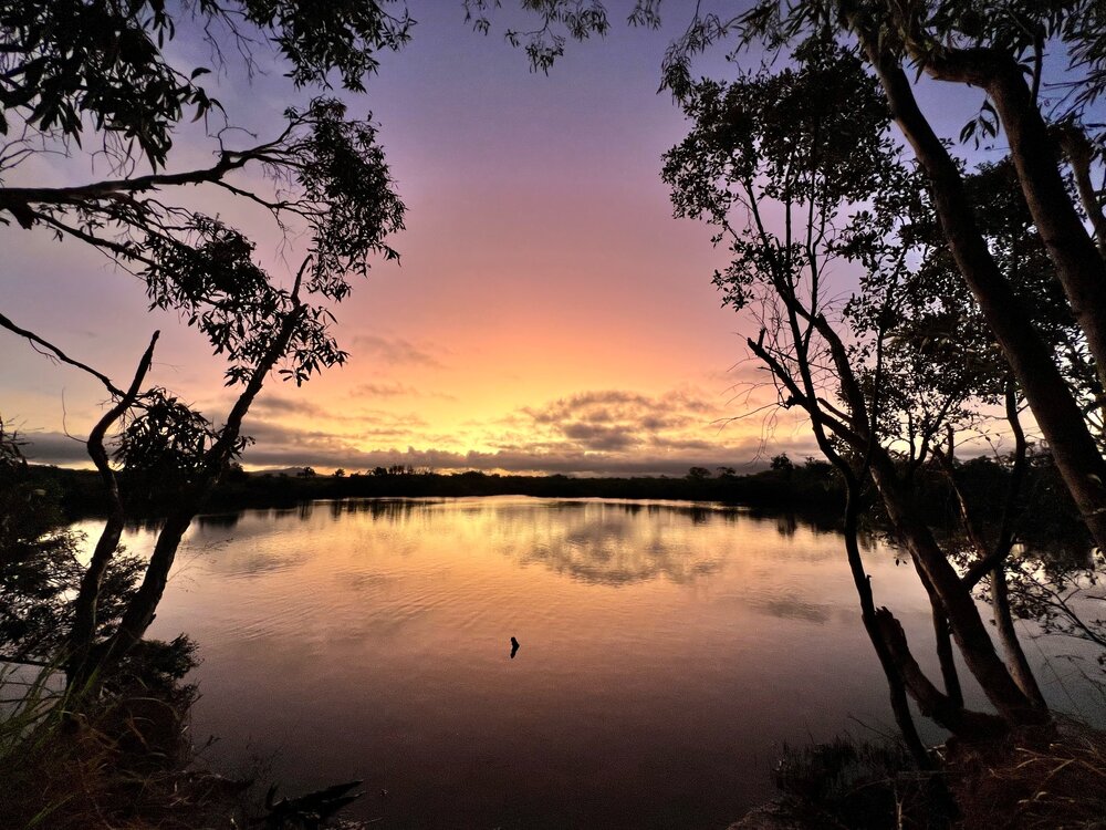 Darumbal Country&nbsp; (Corio Bay, Qld) by Errolyn Moore