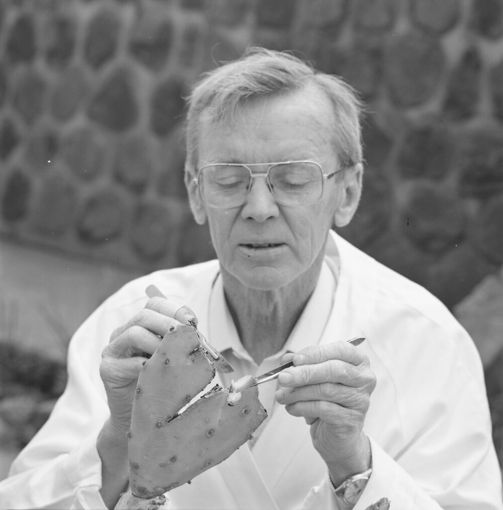 Professor Stuart Barker with a cactus, 1992