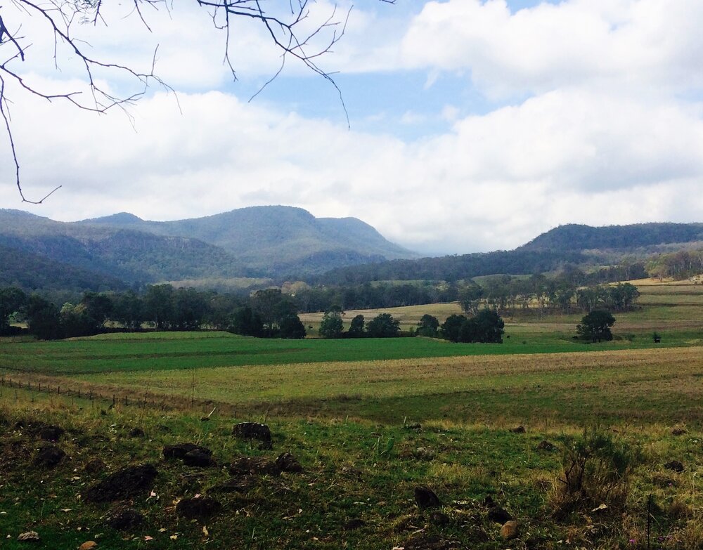 Bundjalung Country  (Yangan, Qld &nbsp;) by Georgie Browne