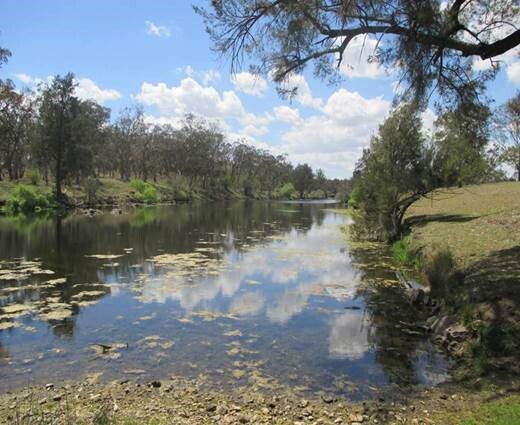Gumbaynggirr&nbsp;Country  (Glen Innes, NSW  ) by Lynette Marlow 