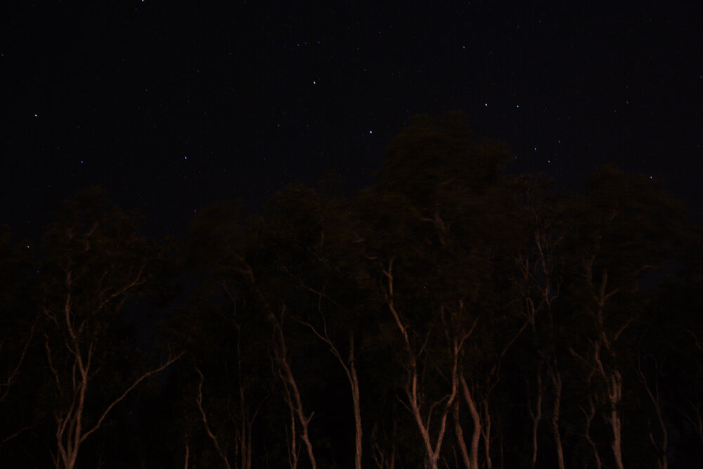 Larrakia Country  (Darwin, NT) by Josephine Vassiliou 