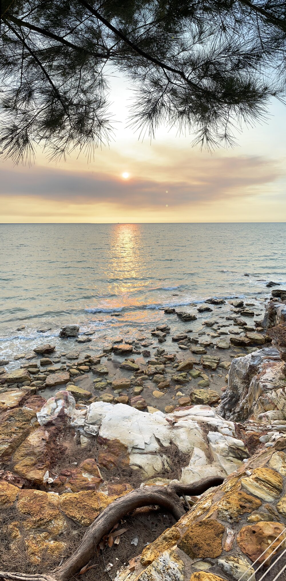 Larrakia Country  (Darwin, NT) by Amanda Letcher 