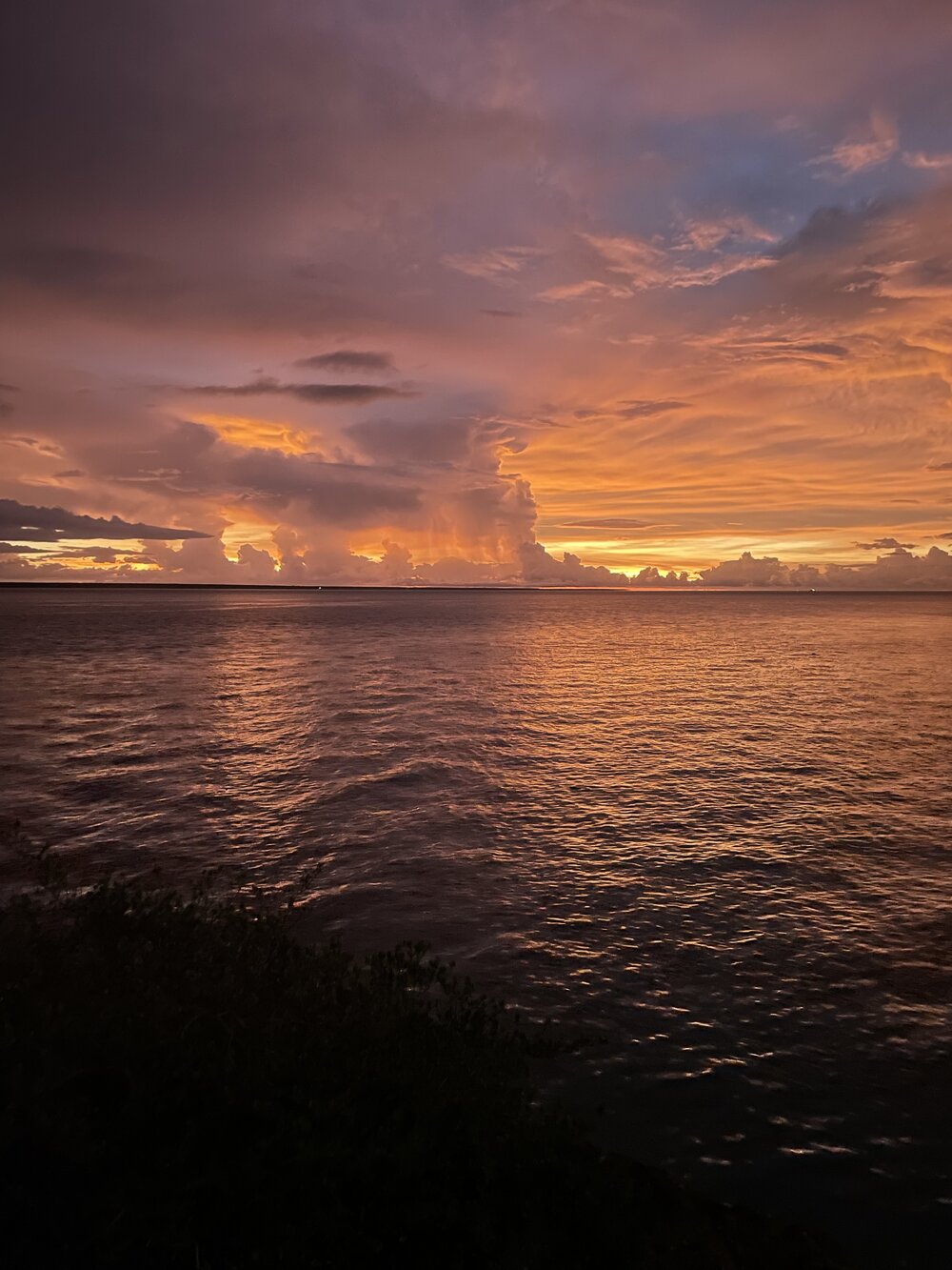 Larrakia Country  (Darwin, NT) by Amanda Letcher 
