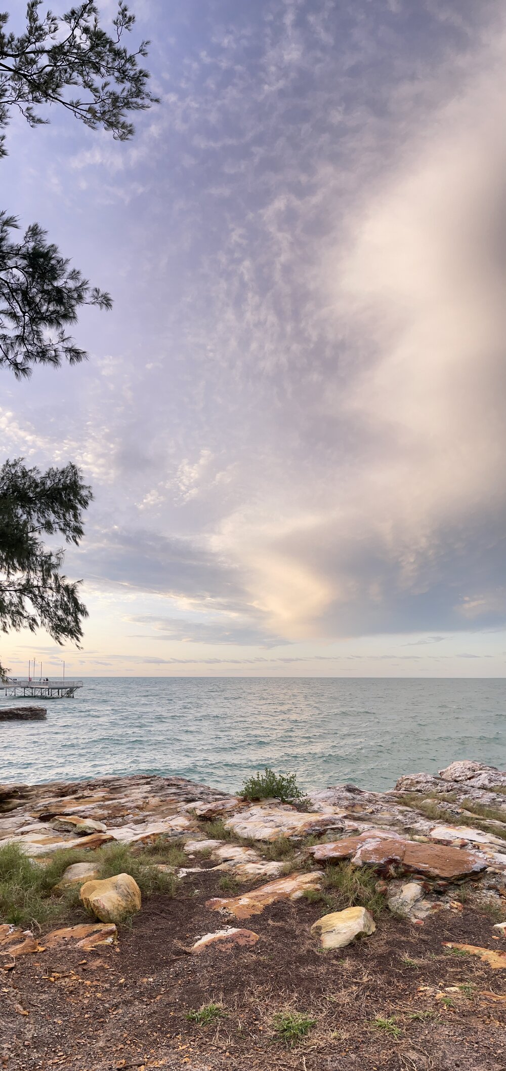 Larrakia Country  (Nightcliff, NT) by Amanda Letcher 
