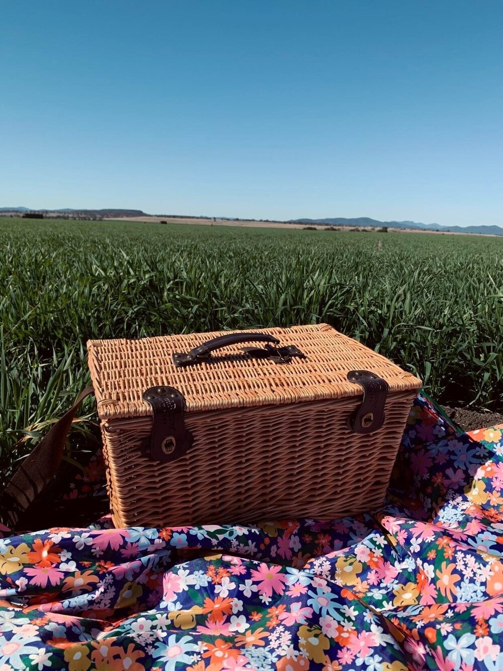 Kamilaroi Country (Breeza, NSW ) by Britt Abraham