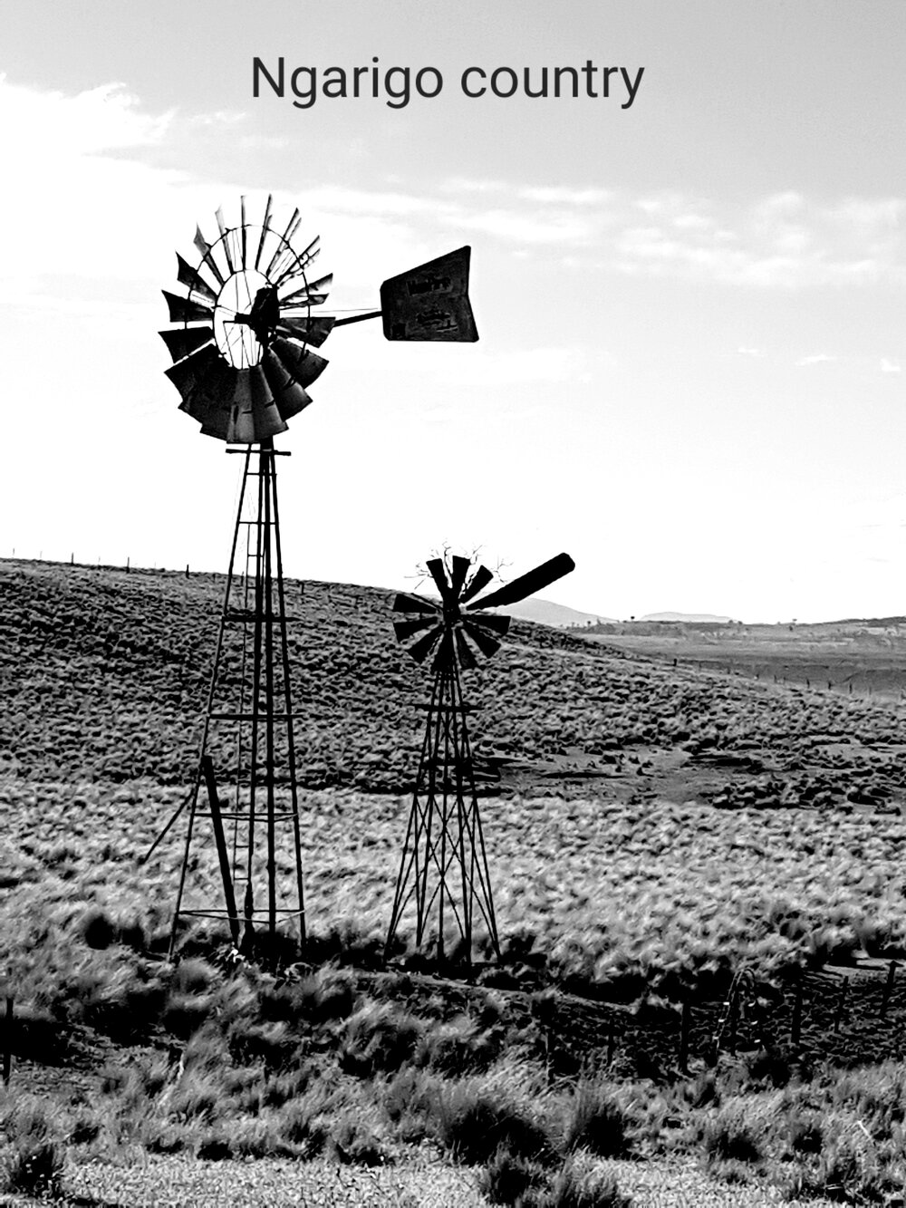 Ngarigo Country (Cooma, NSW) by Janine John-Natley 