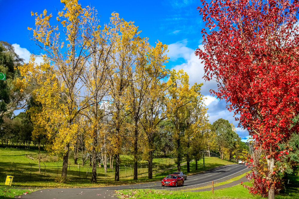 Anaiwan Country  (Armidale, NSW) by Thai Nguyen