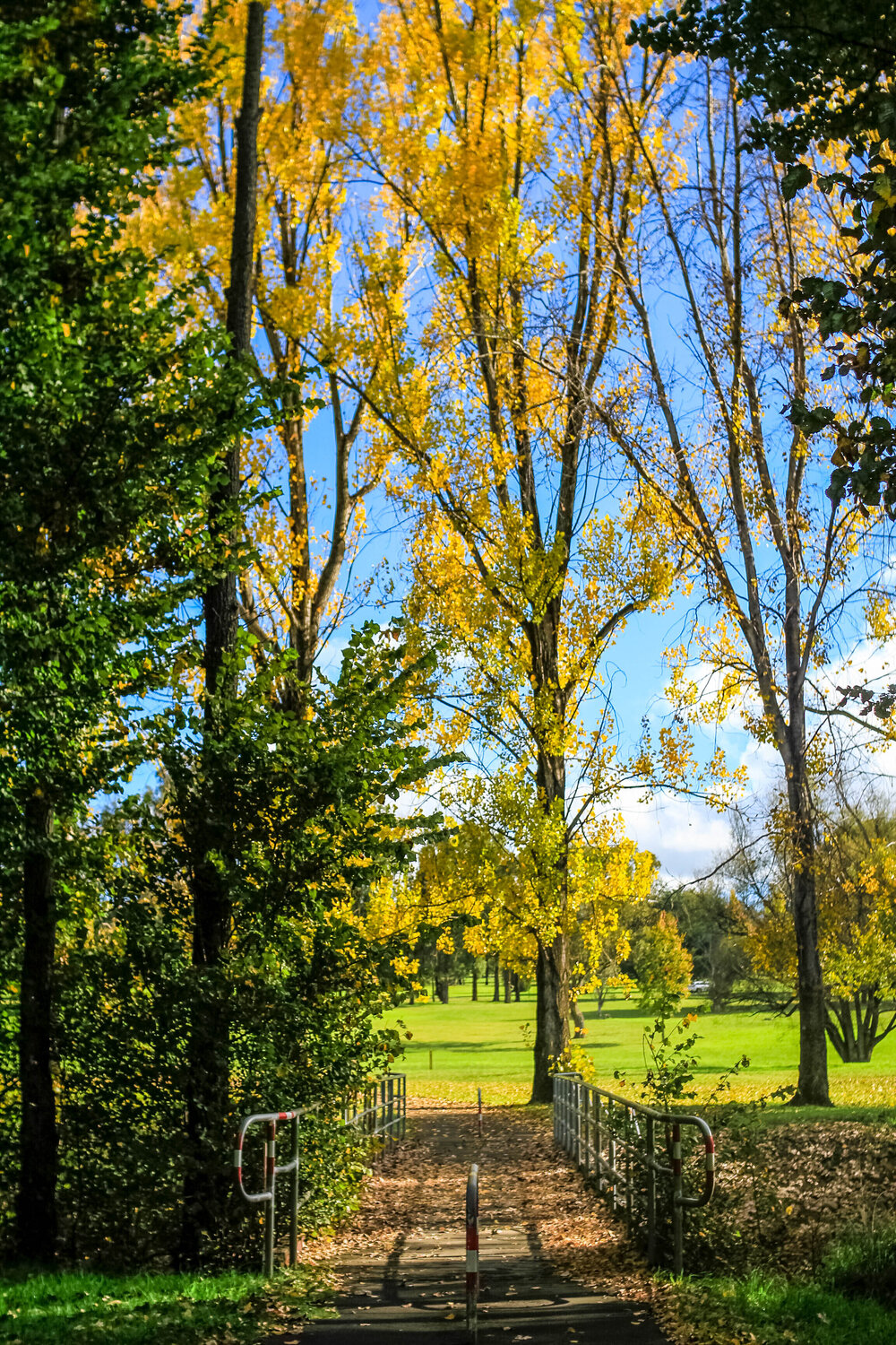 Anaiwan Country  (Armidale, NSW) by Thai Nguyen