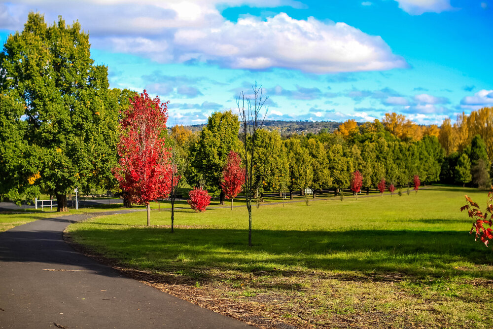 Anaiwan Country  (Armidale, NSW) by Thai Nguyen