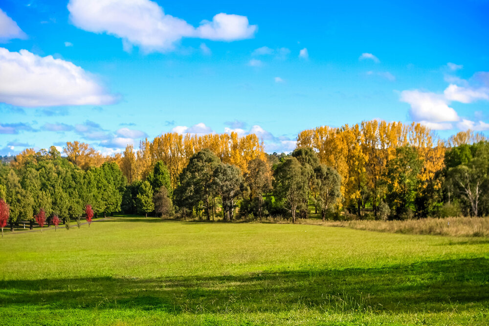 Anaiwan Country  (Armidale, NSW) by Thai Nguyen