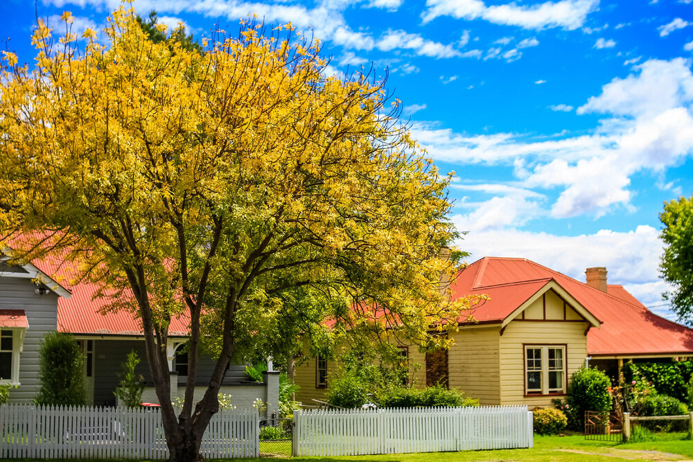 Anaiwan Country  (Armidale, NSW) by Thai Nguyen