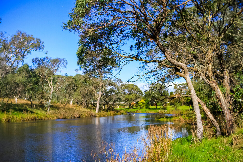 Gumbaynggirr Country (Northern Tablelands, NSW) by Thai Nguyen