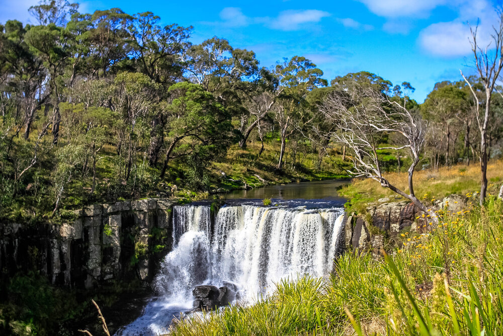 Gumbaynggirr Country (Northern Tablelands, NSW) by Thai Nguyen