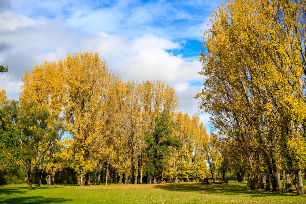 Anaiwan Country  (Armidale, NSW) by Thai Nguyen