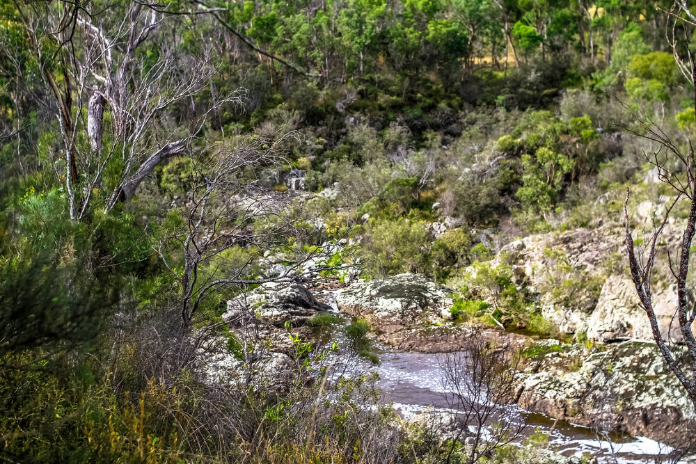 Dunghutti Country (Wollomombi, NSW) by Thai Nguyen