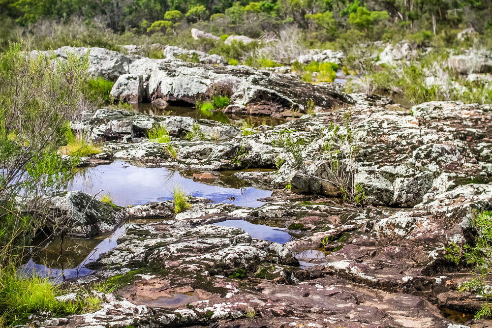Dunghutti Country (Wollomombi, NSW) by Thai Nguyen