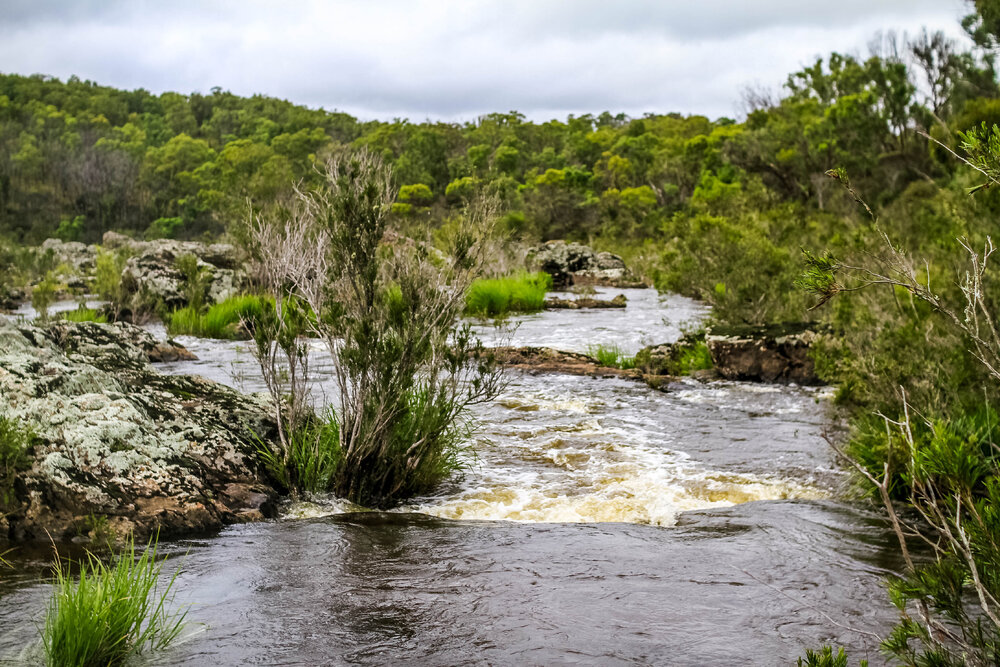 Dunghutti Country (Wollomombi, NSW) by Thai Nguyen