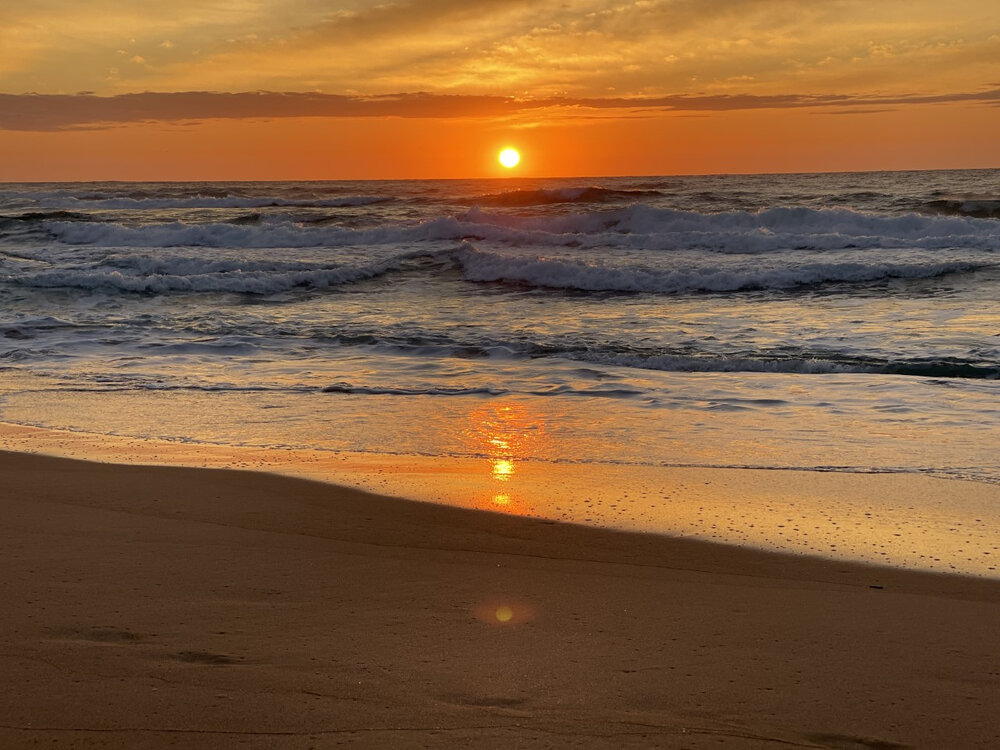 Darkinjung Country (Avoca Beach, NSW) by Vanessa Lane 