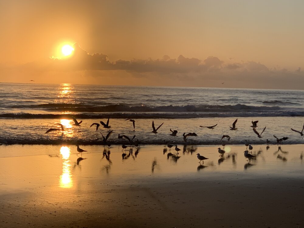 Bundjalung Country (Fingal Head, NSW) by Chrystene Conder 