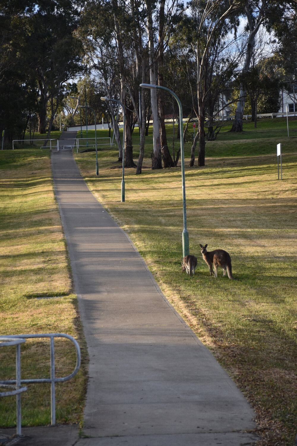 Anaiwan Country (Armidale, NSW) by Maigan Galloway 