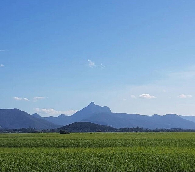 Bundjalung Country (Murwillumbah, NSW ) by Emily Hart