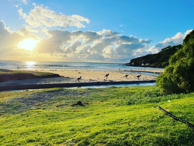 Yuin Country (Broulee Island , NSW) by Hannah Fernie