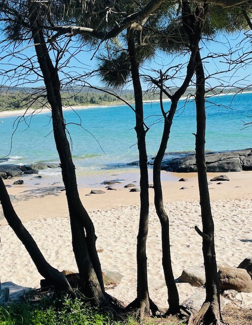 Yuin Country (Broulee Island , NSW) by Hannah Fernie