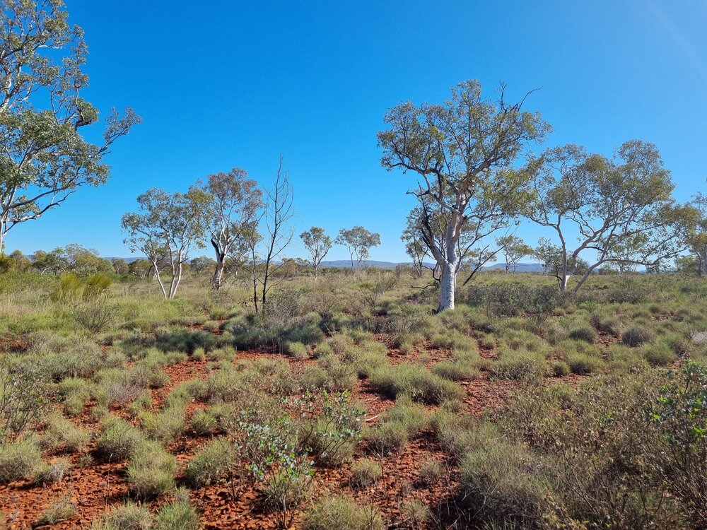 Banjima Country  (Pilbara, WA) by Colin Ahoy 