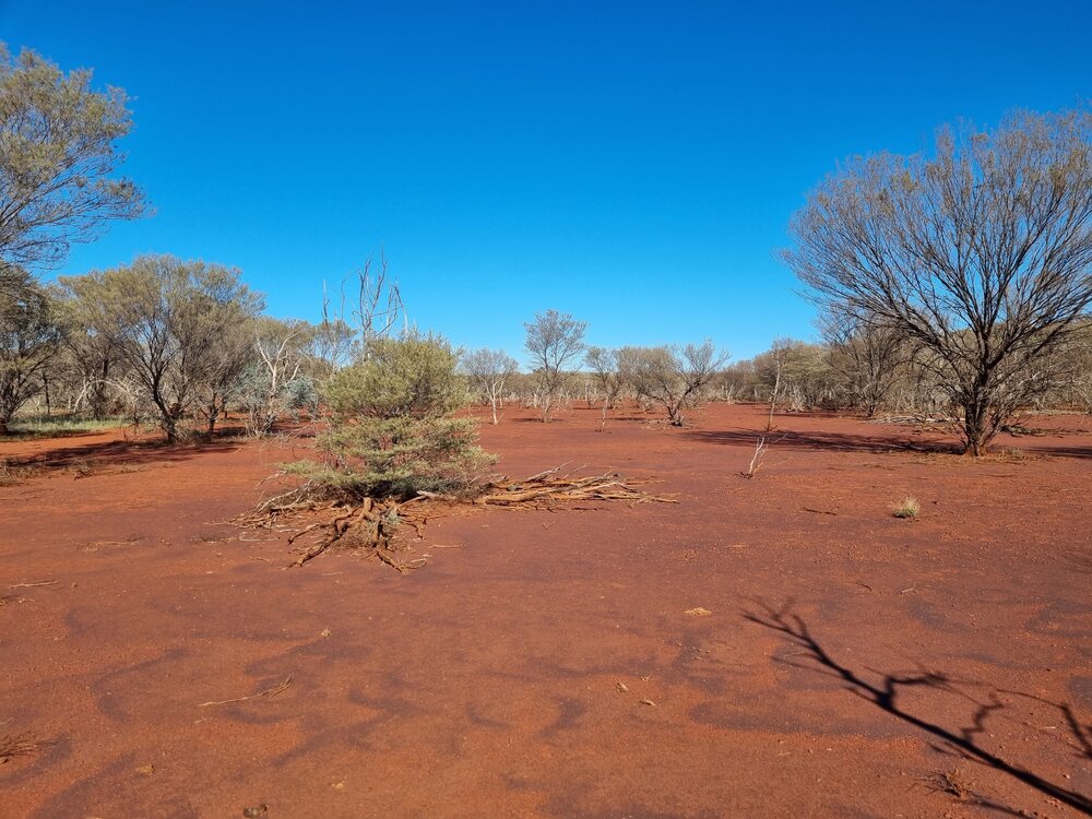 Banjima Country  (Pilbara, WA) by Colin Ahoy 