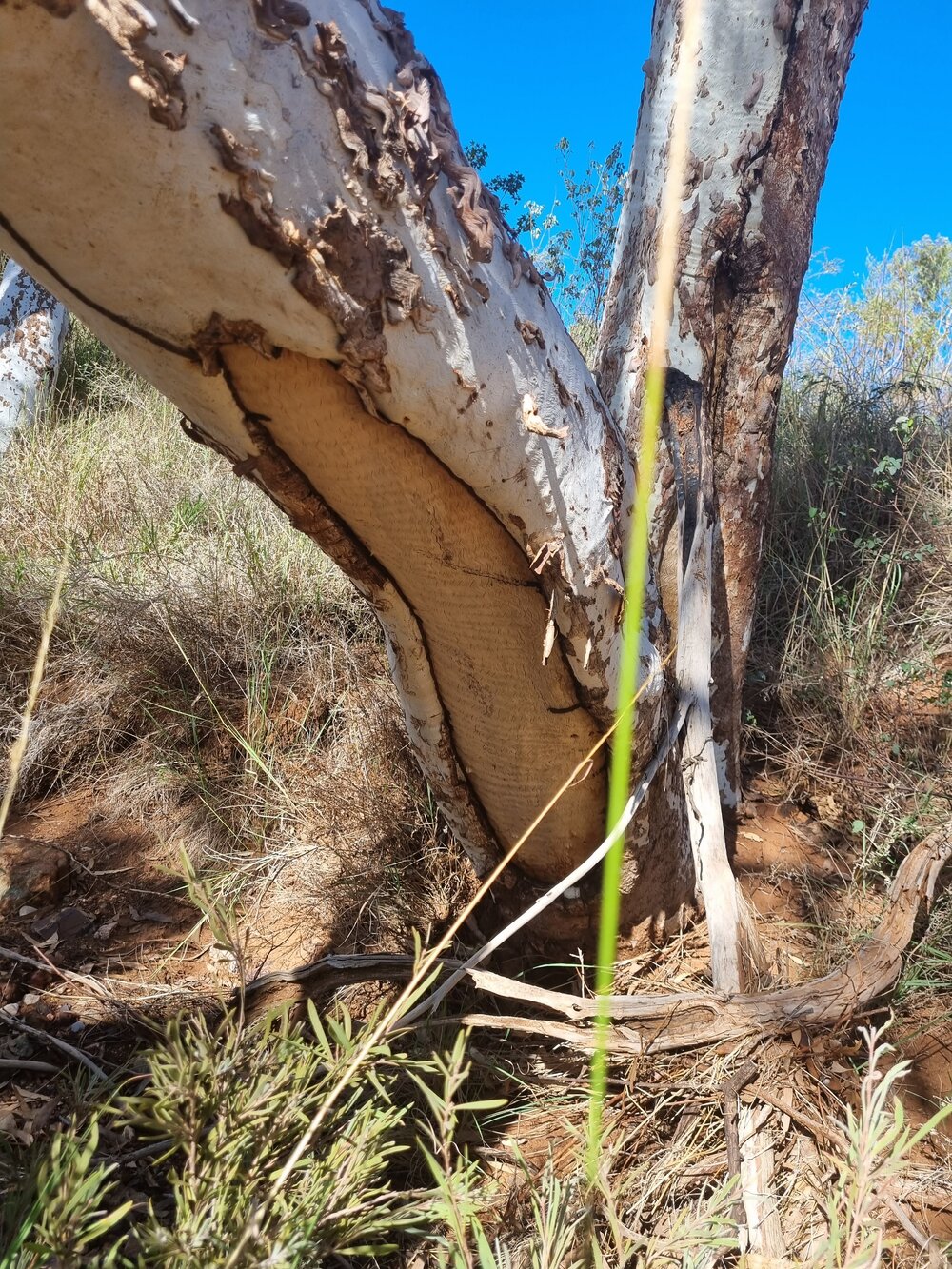 Banjima Country  (Pilbara, WA) by Colin Ahoy 