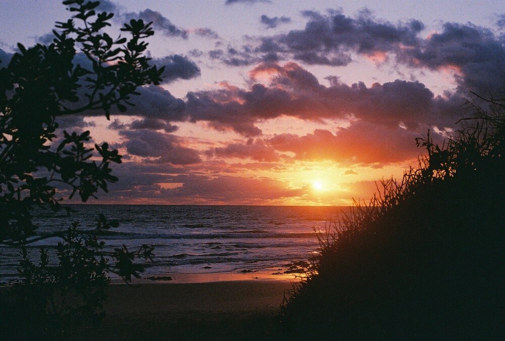 Gumbaynggirr&nbsp;Country  (Coffs Harbour, NSW) by Chloe Sankey 