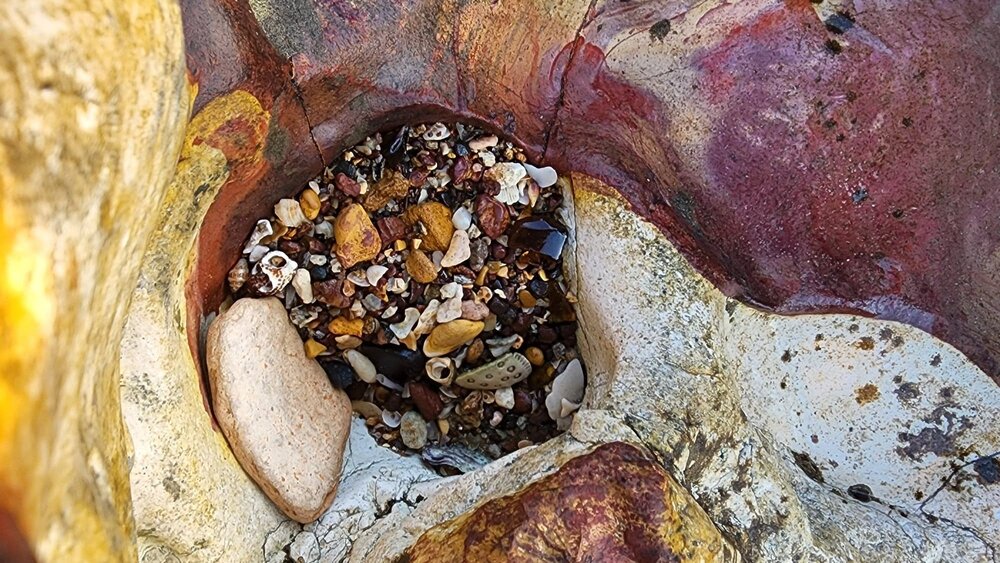Larrakia Country  (Nightcliff, NT) by Susan Lewis