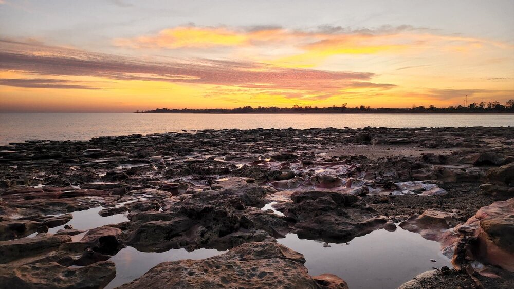 Larrakia Country  (Nightcliff, NT) by Susan Lewis