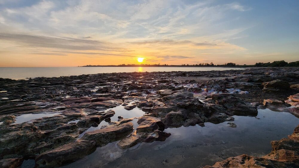 Larrakia Country  (Nightcliff, NT) by Susan Lewis