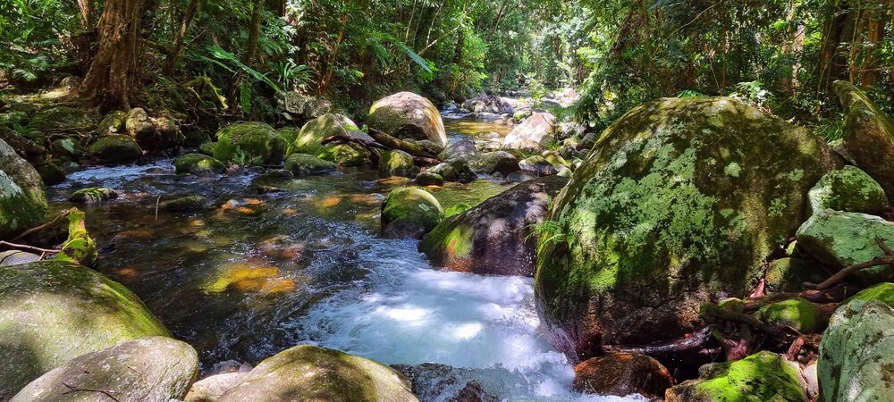 Djabuganjdji Country  (Mareeba, Qld) by Emma Grabowski