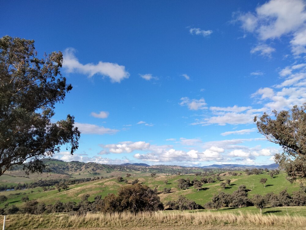 Wiradjuri and Ngunnawal Country (Hilltops, NSW) by Sherelle Hogg&nbsp;