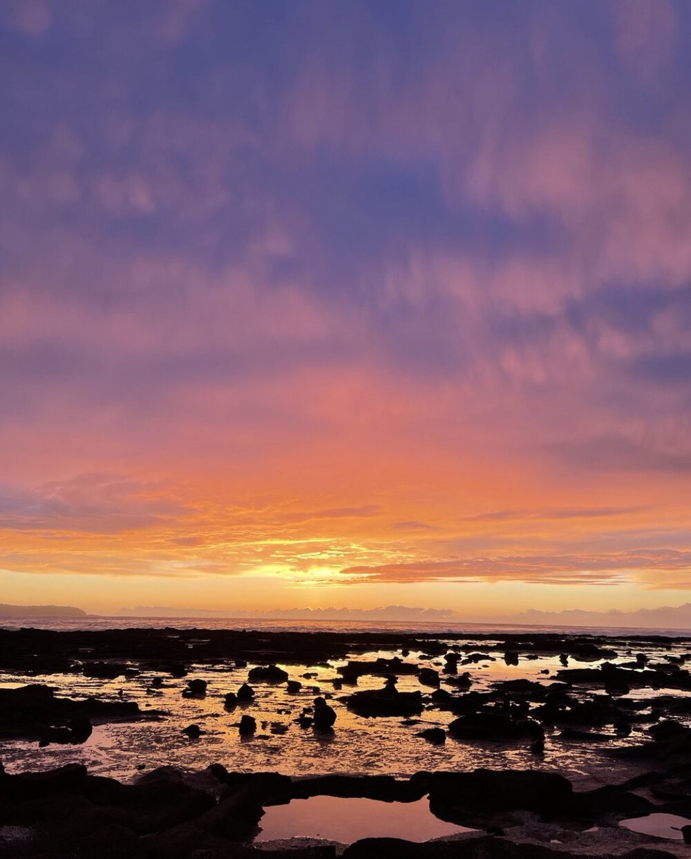 Yuin Country (Broulee Island , NSW) by Lisa Robbins