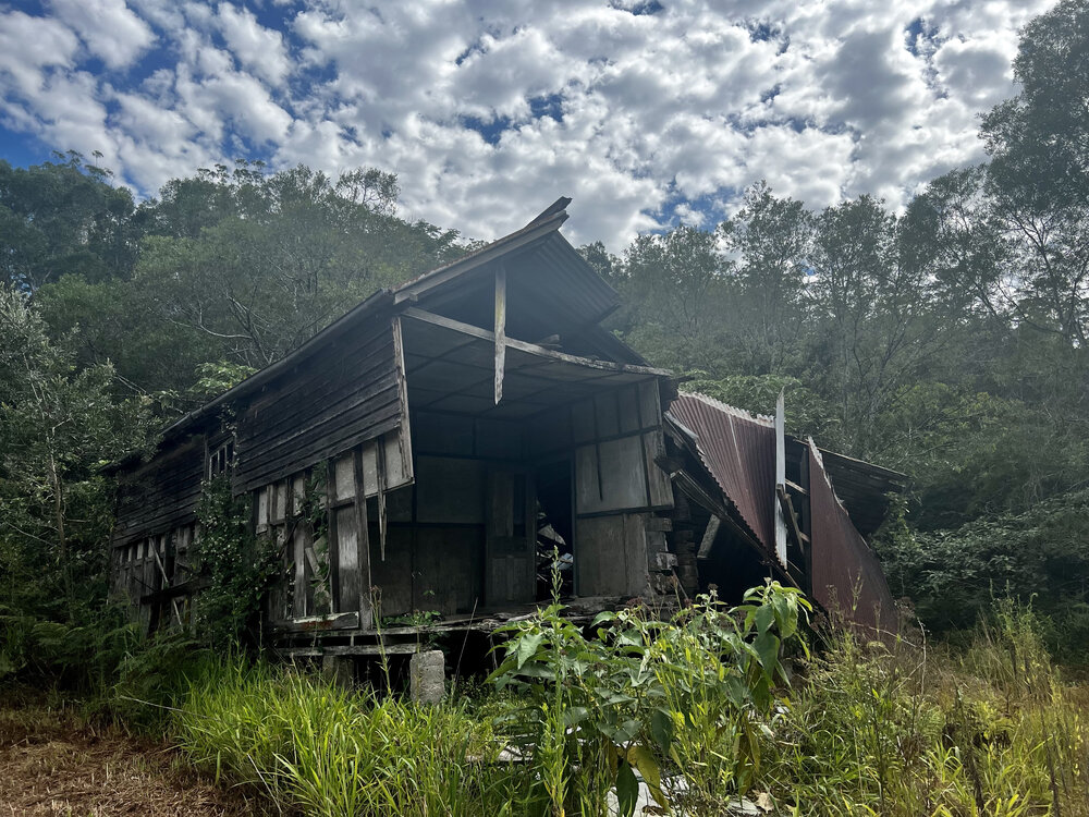 Gumbaynggirr Country (Brinerville, NSW) by Laura Murray