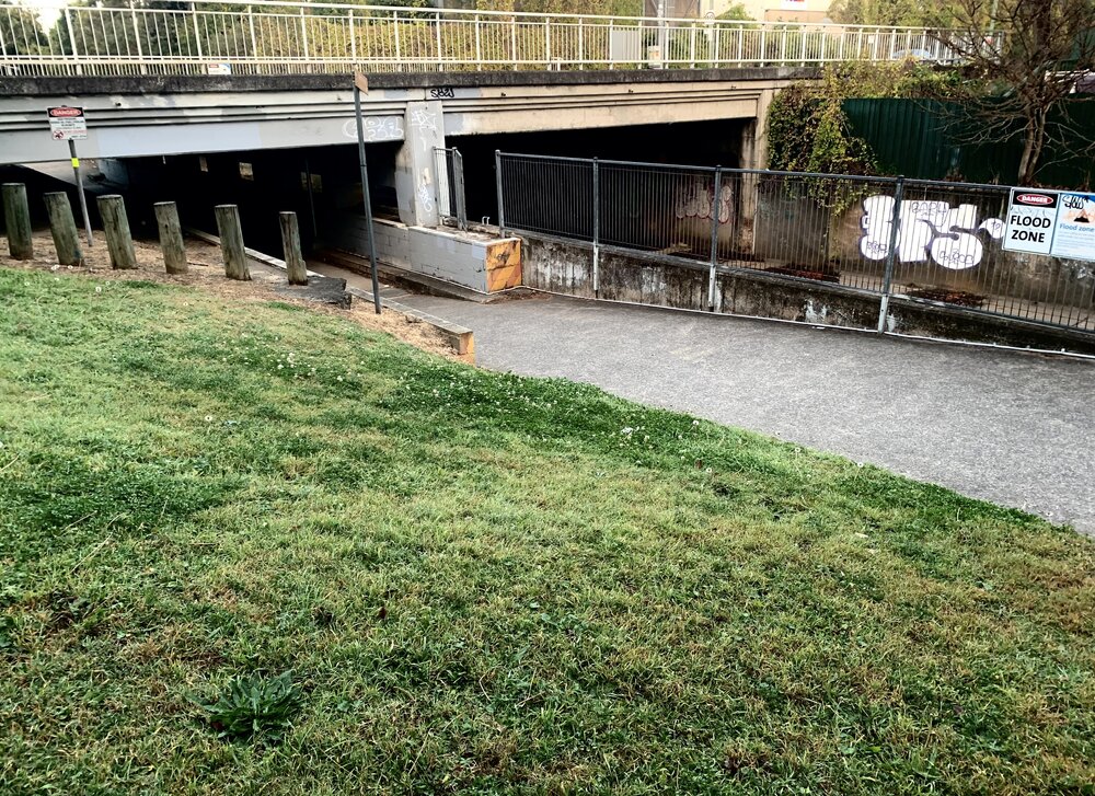Wangal Country (Strathfield, NSW) by Jessica Ellen Rogers