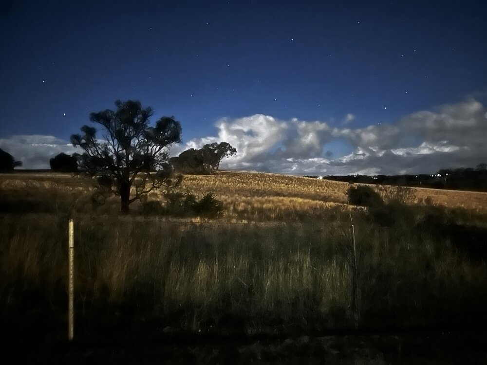 Anaiwan Country (Armidale, NSW) by Sujit Ray